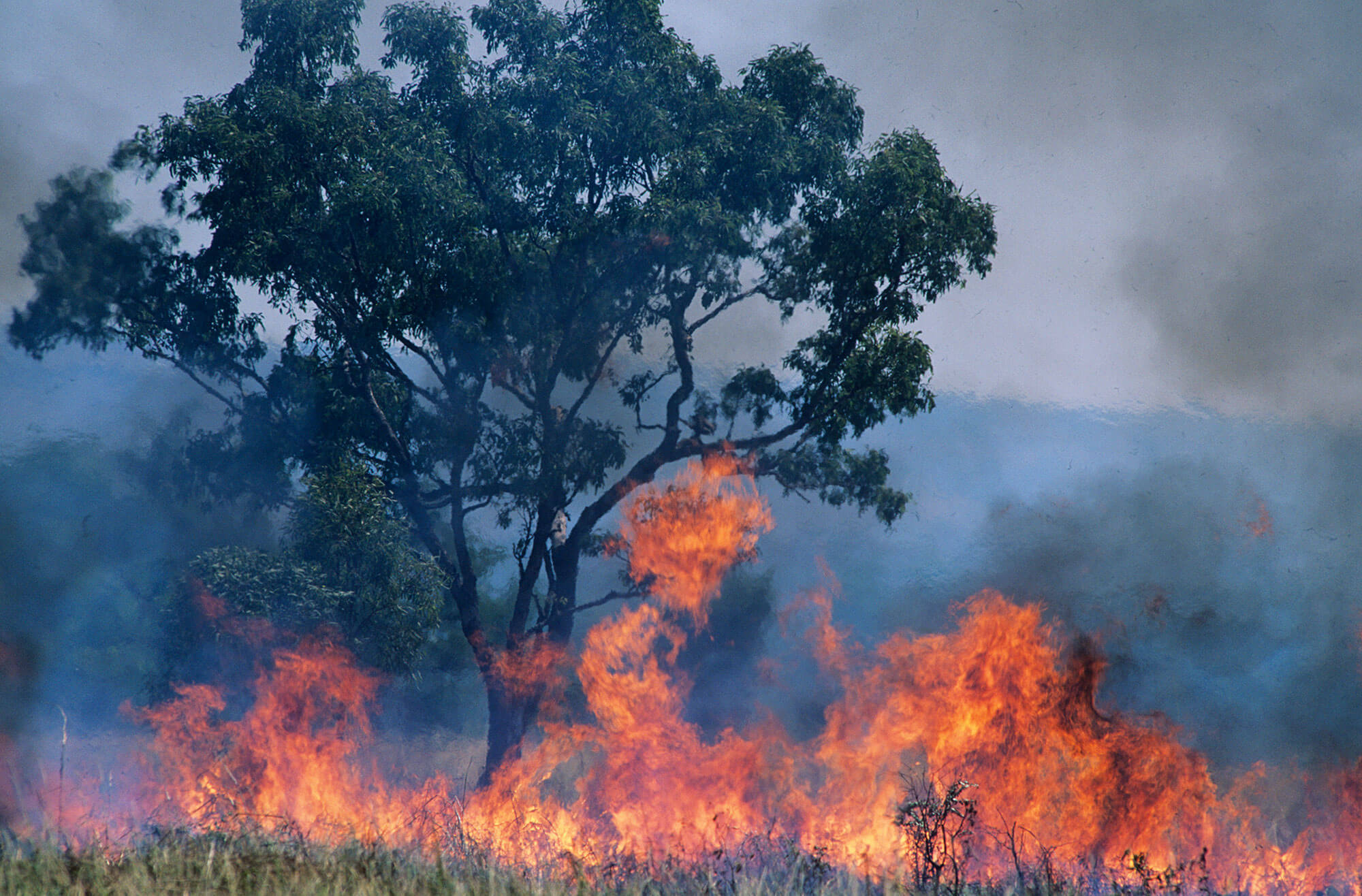 Planning for Bushfire Protection